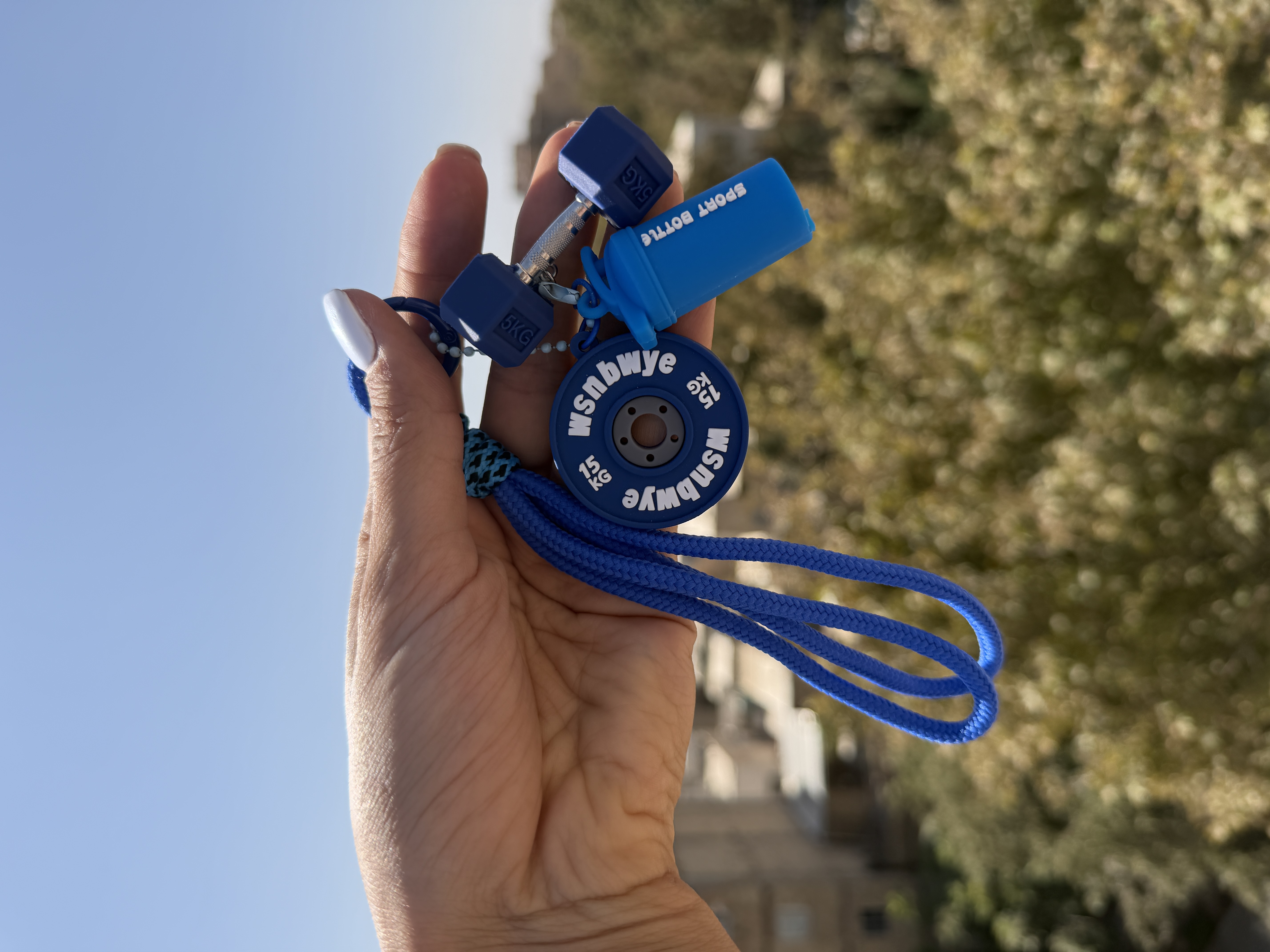 جاسوییچی